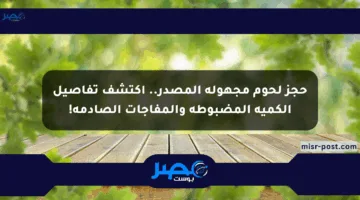 حجز لحوم مجهولة المصدر.. اكتشف تفاصيل الكمية المضبوطة والمفاجآت الصادمة!